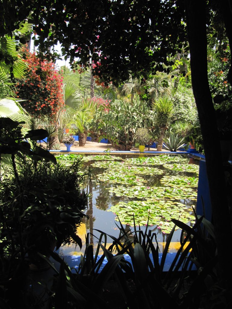 Jardin Majorelle Garden, Marrakech, Morocco