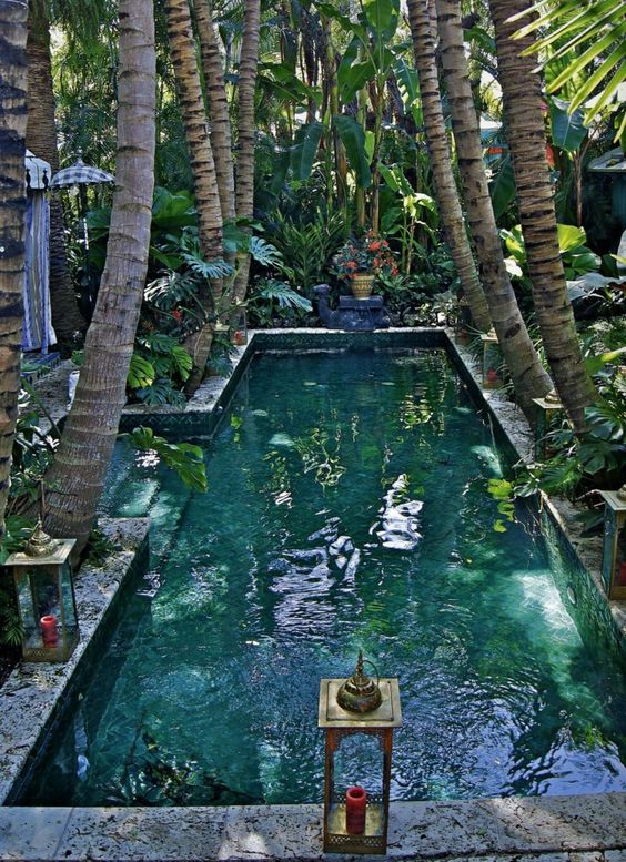 9 Lushes Jungle Pools you will Want to try!