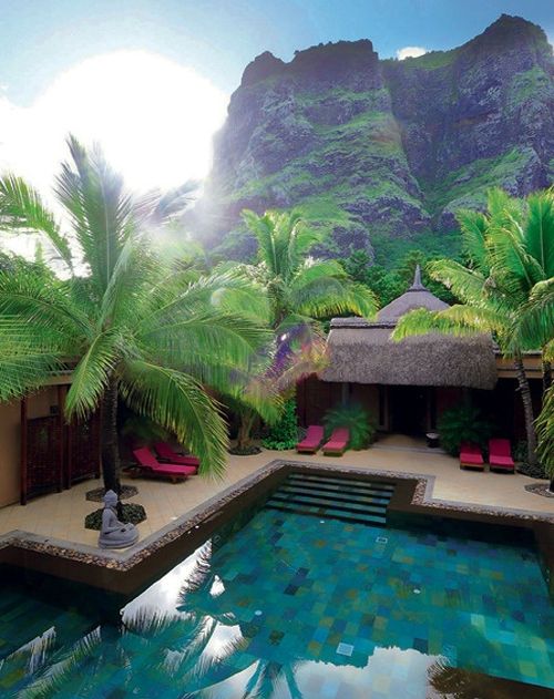 9 Lushes Jungle Pools you will Want to try!