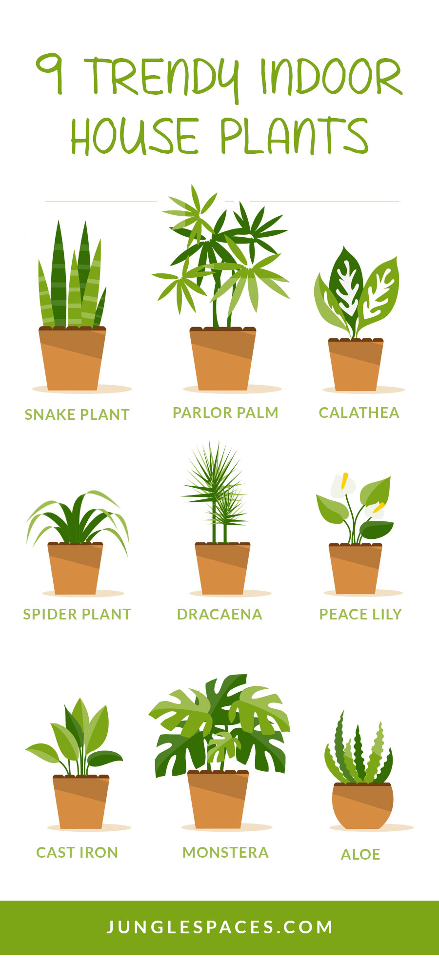 9 Trendy Houseplants That Don T Need Direct Sunlight Jungle Spaces,Ikea Bed Frame With Drawers Instructions