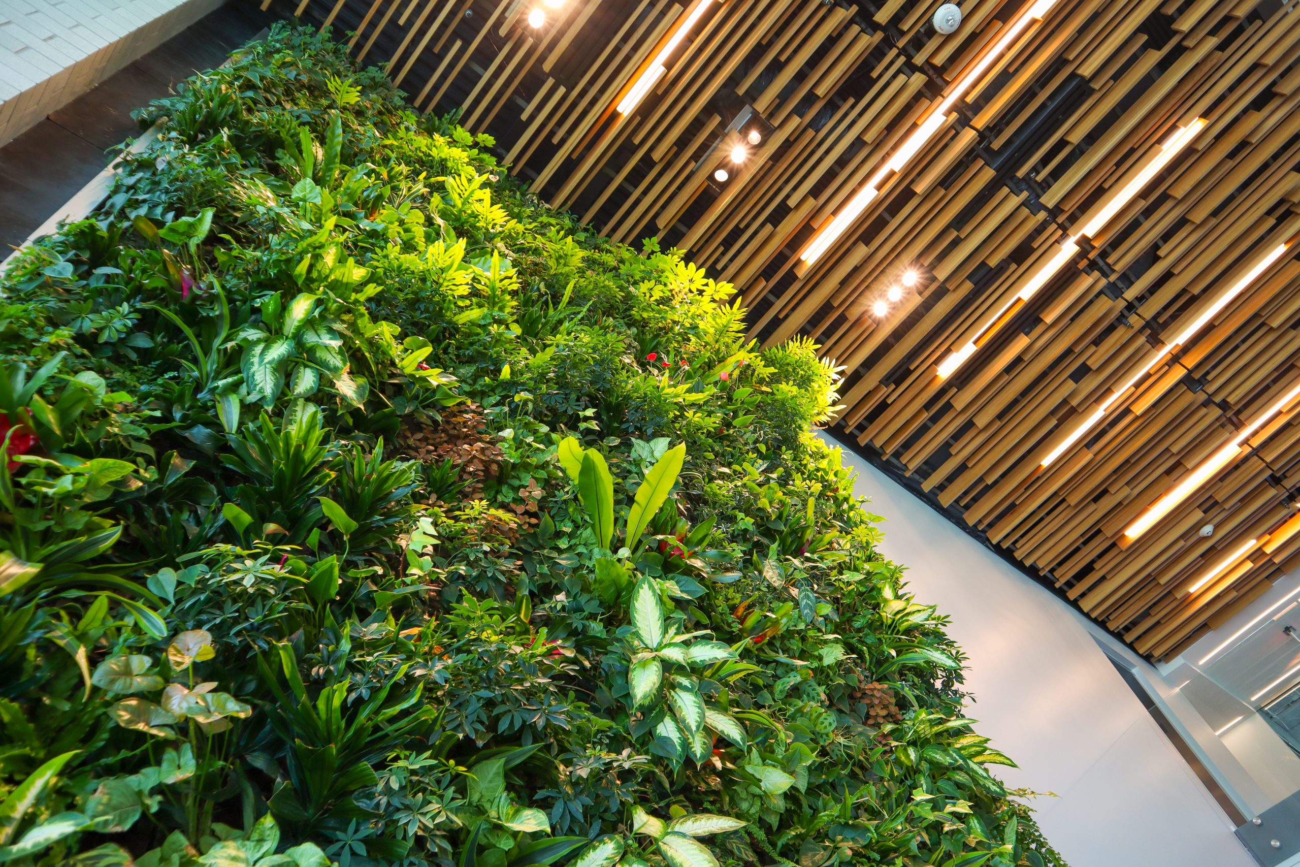 Living Walls: A Detailed Exploration of Nature’s Green Masterpieces